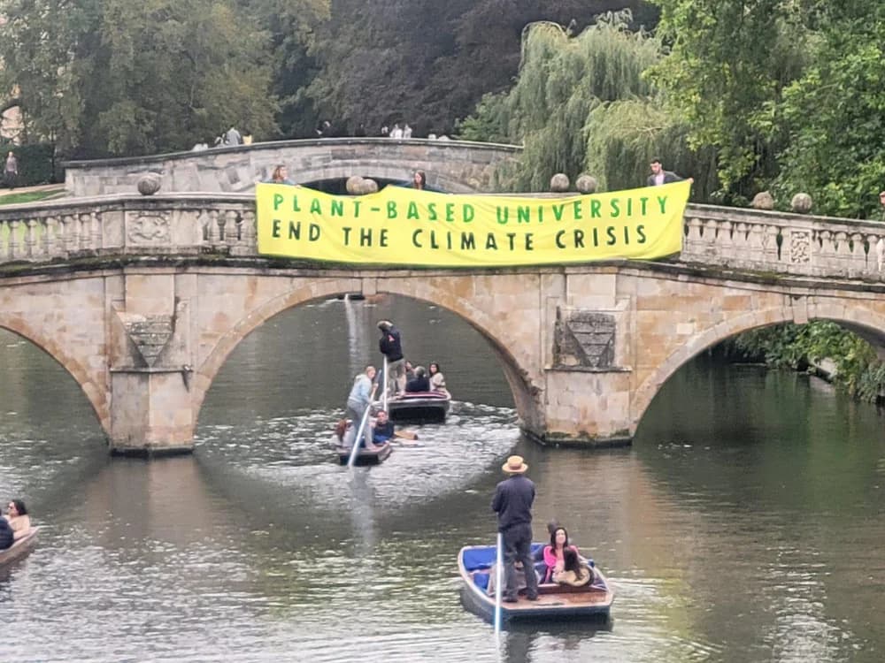 A Plant-Based University banner hanging from a Cambridge bridge above people punting on the river.
